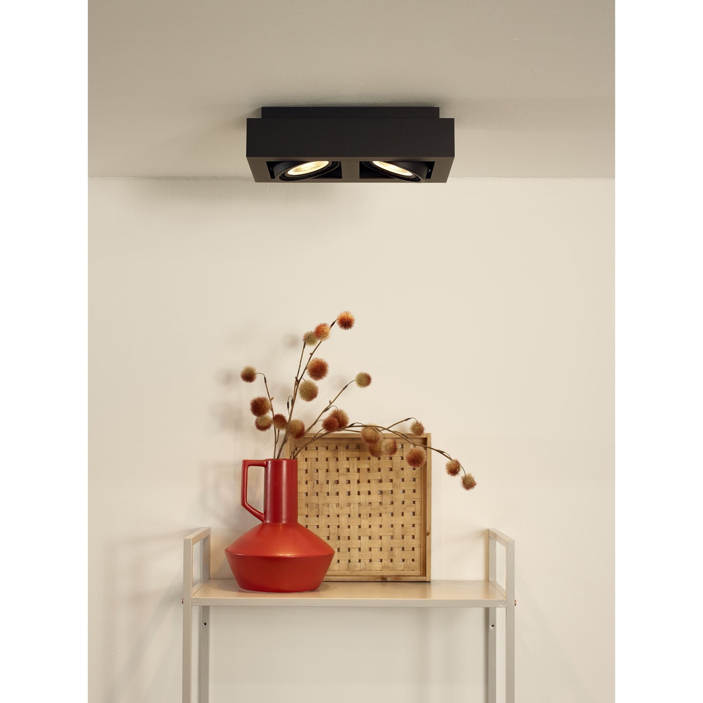 Lucide ZEFIX - Ceiling spotlight - LED Dim to warm - GU10 (ES111) - 2x12W 2200K/3000K - Black