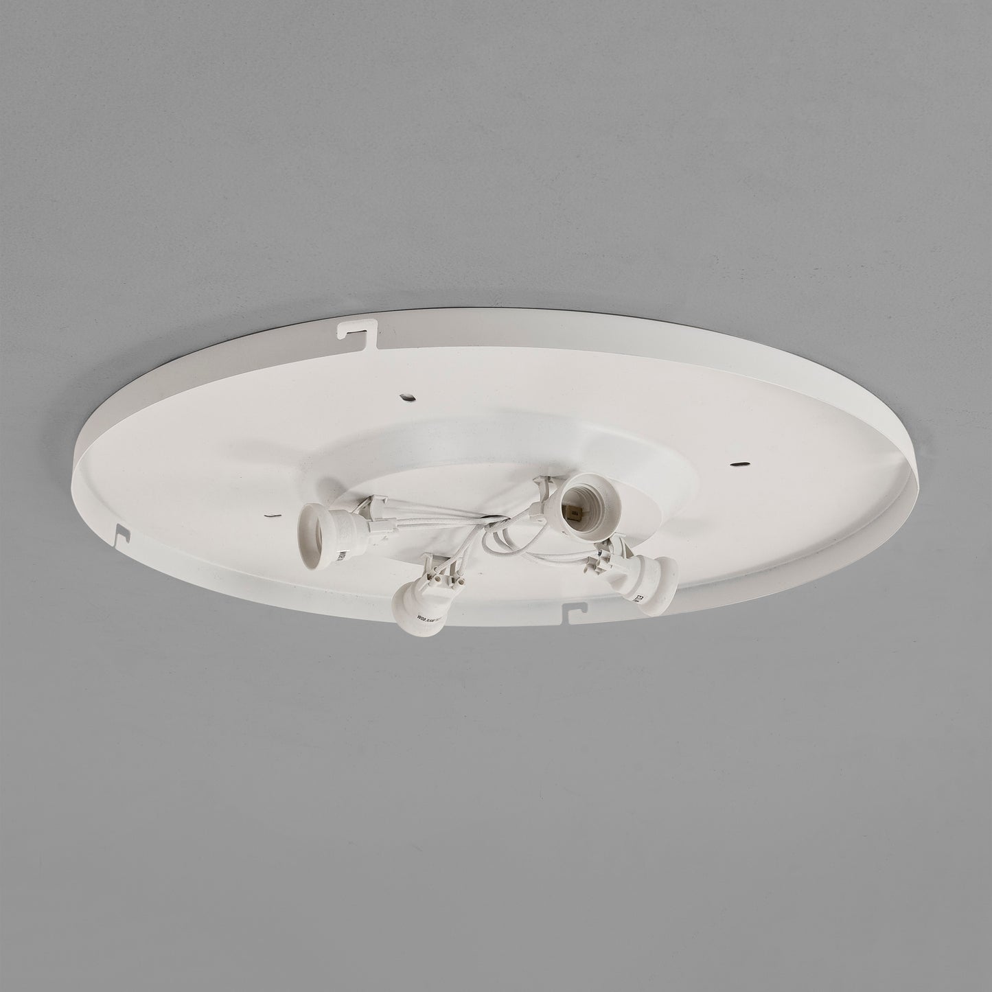 4-Way Plate