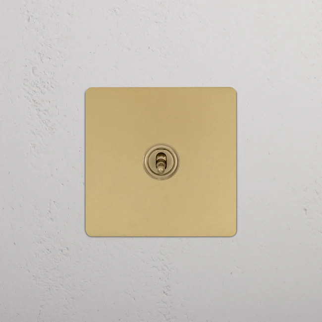 Corston 1G Double Pole 20A Toggle Switch Antique Brass