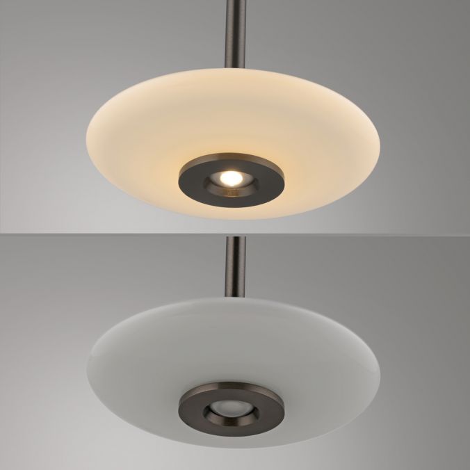 PURE Vitrum Pendant Light - Dark Brown Metal - Height Adjustable - Paul Neuhaus - (2053-34)