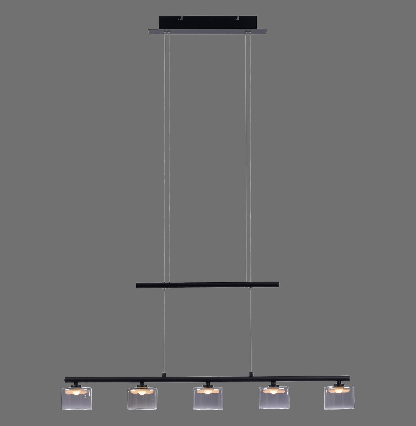 Hydra - Pendant Light - Black - By Paul Neuhaus - (2209-18)