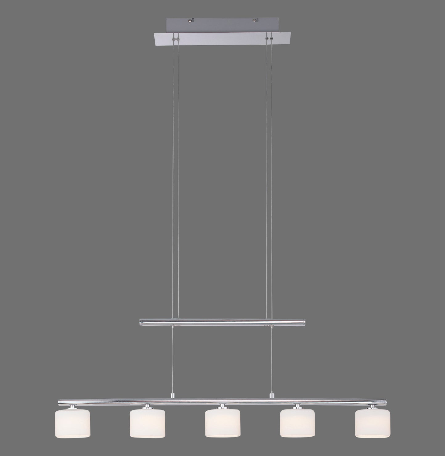 Hydra - Pendant Light - Steel - By Paul Neuhaus - (2209-55)