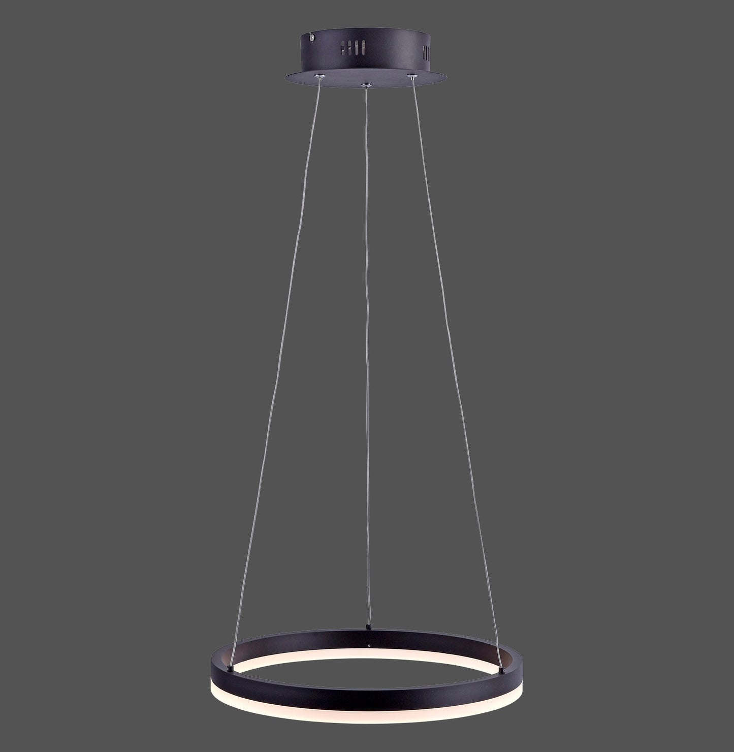 Titus - Pendant Light - Anthrazit - By Paul Neuhaus - (2381-13)