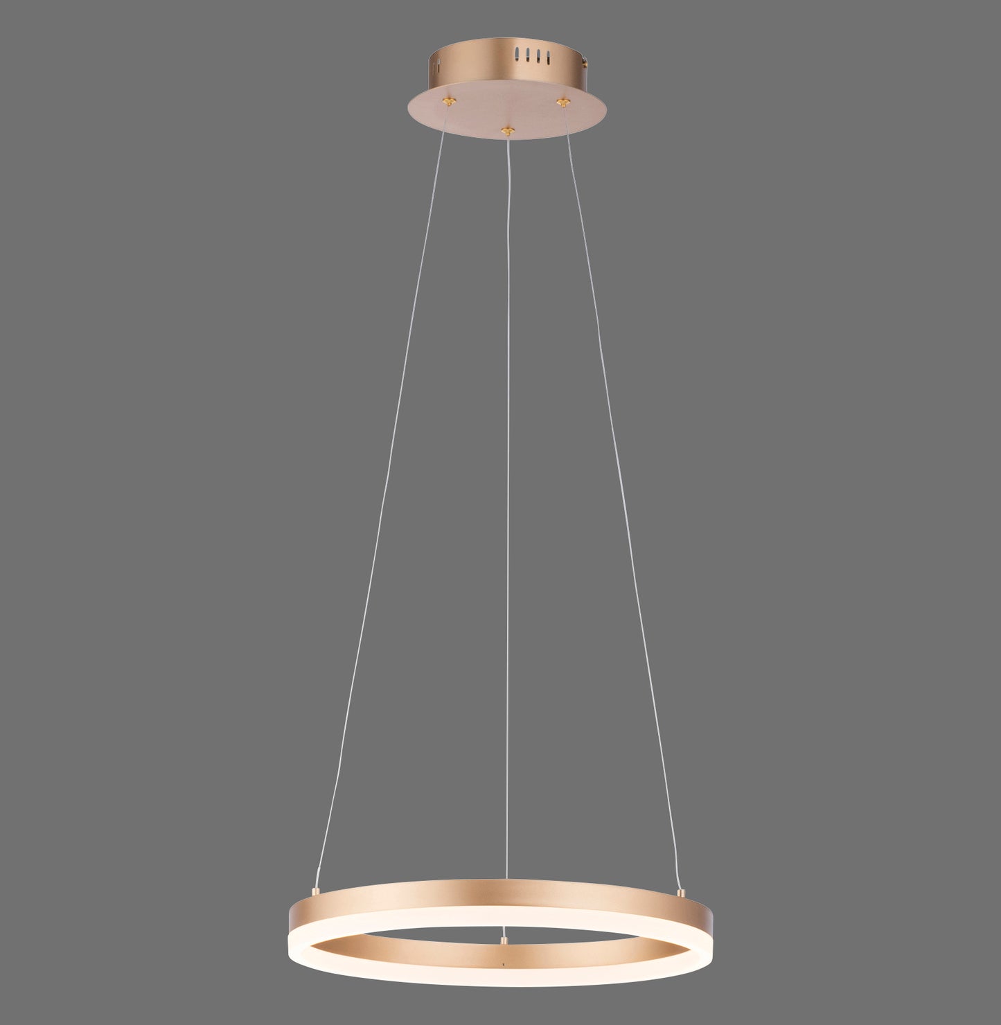 Titus - Pendant Light - Brass Matt - By Paul Neuhaus - (2381-60)