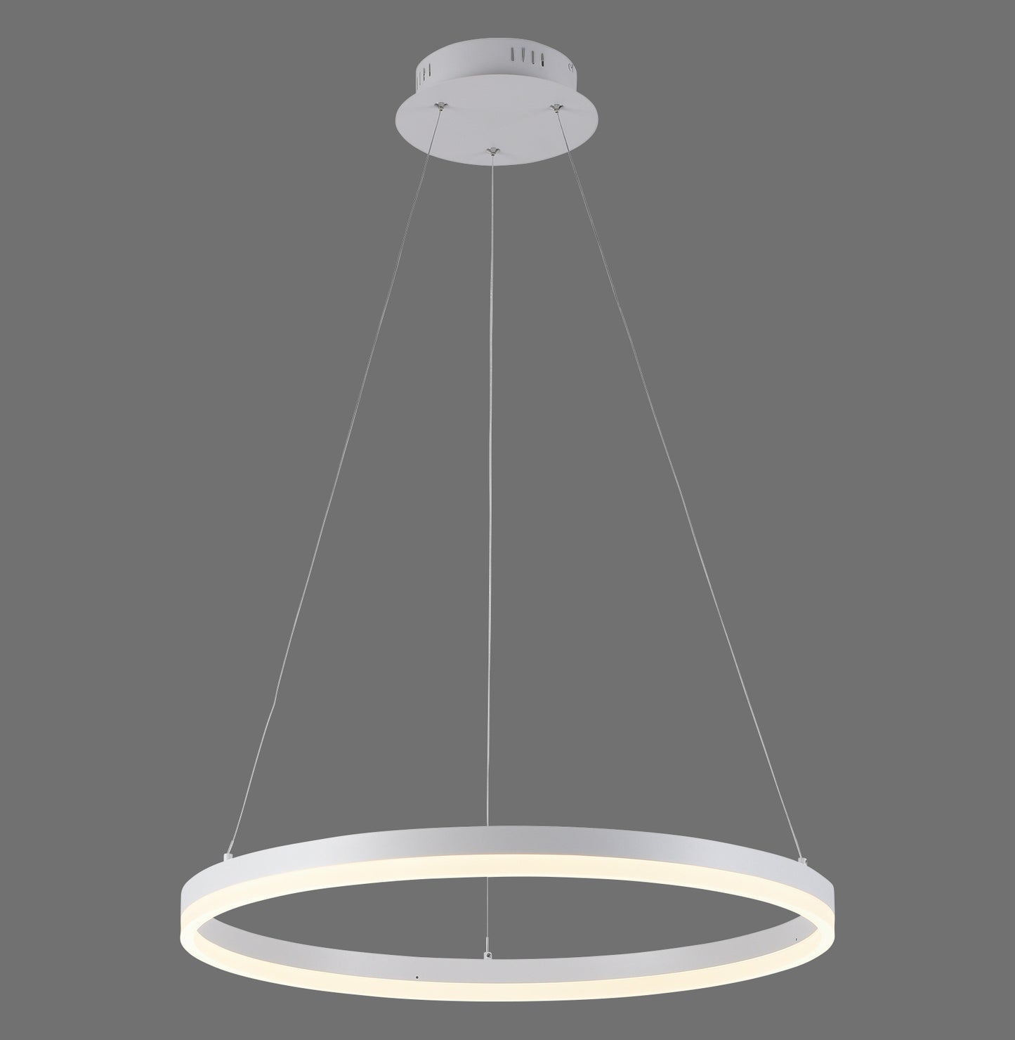 Titus - Pendant Light - White - By Paul Neuhaus - (2382-16)