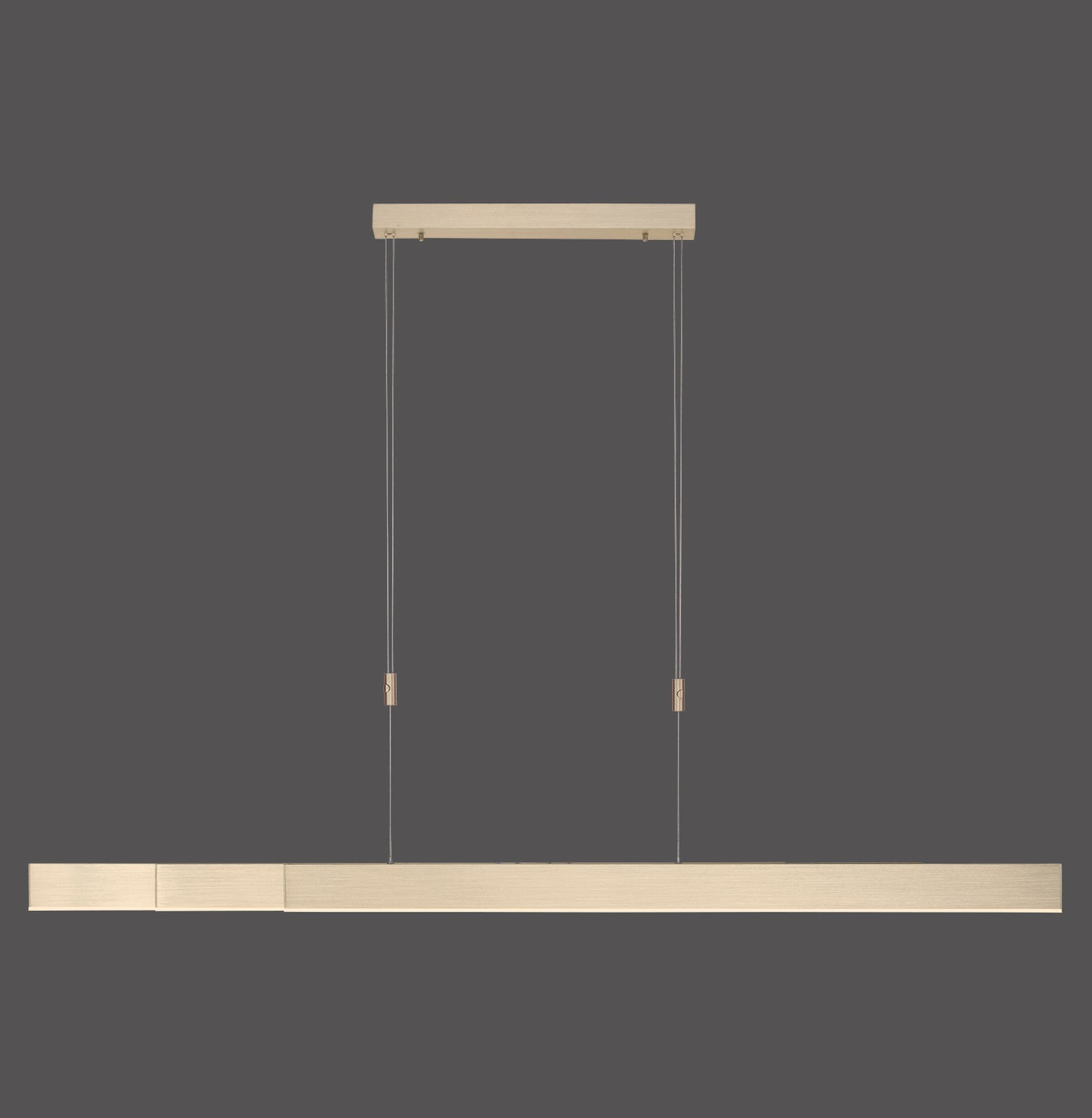 Pure Moto - Pendant Light - Brass Matt - By Paul Neuhaus - (2525-60)