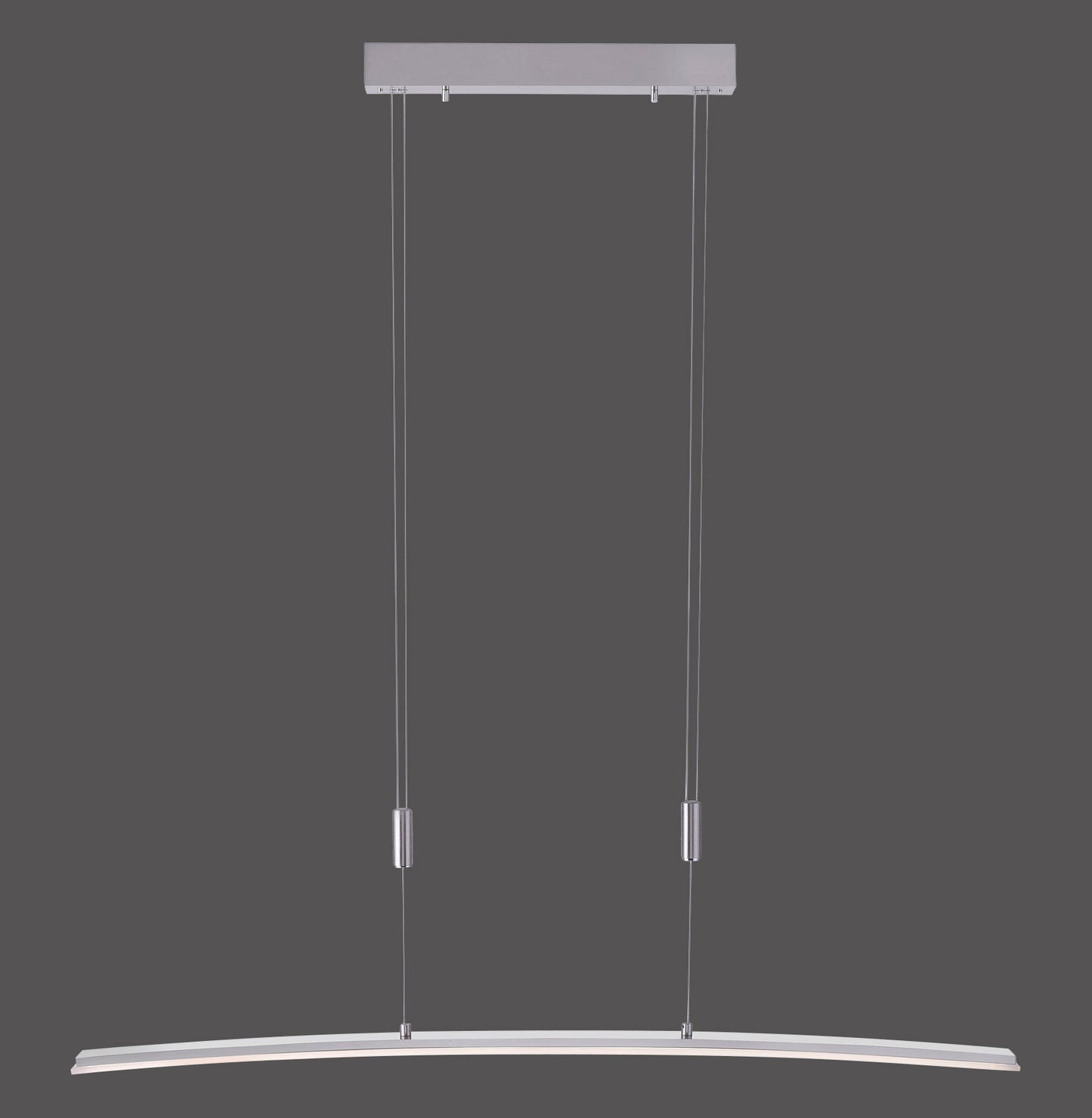 Janina - Pendant Light - Steel - By Paul Neuhaus - (2530-55)