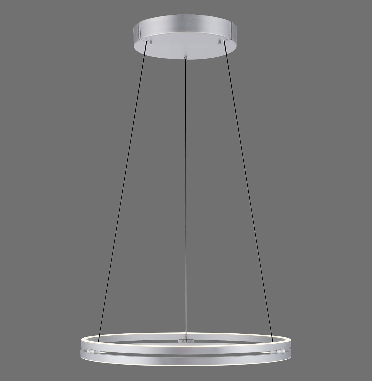 Pure E-Loop - Pendant Light - Aluminium - By Paul Neuhaus - (2551-95)