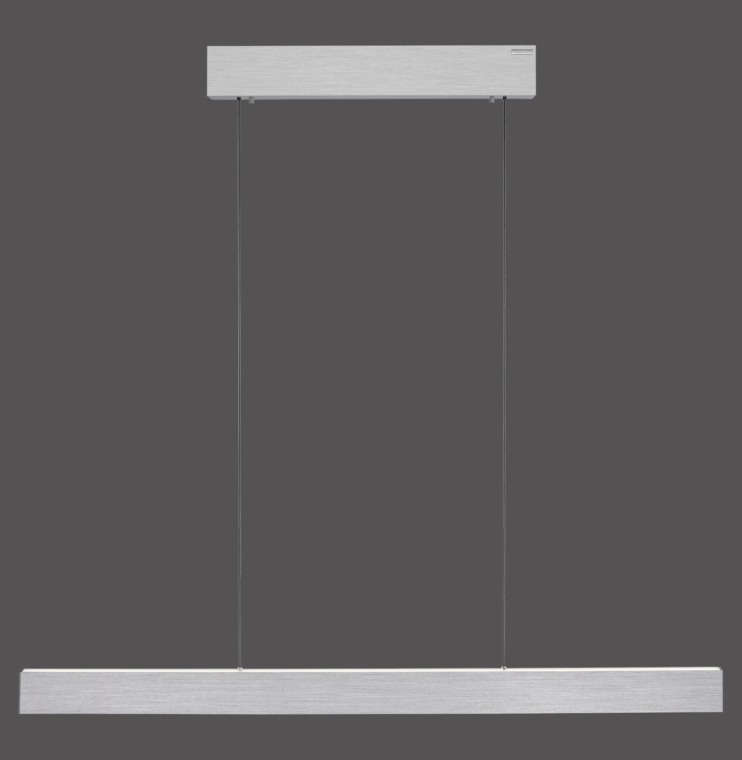 Pure E-Motion - Pendant Light - Aluminium - By Paul Neuhaus - (2570-95)