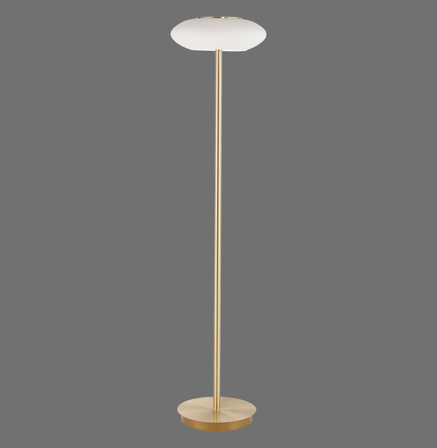 Q-Etienne - Floor Lamp - Brass Matt - By Paul Neuhaus - (271-60)