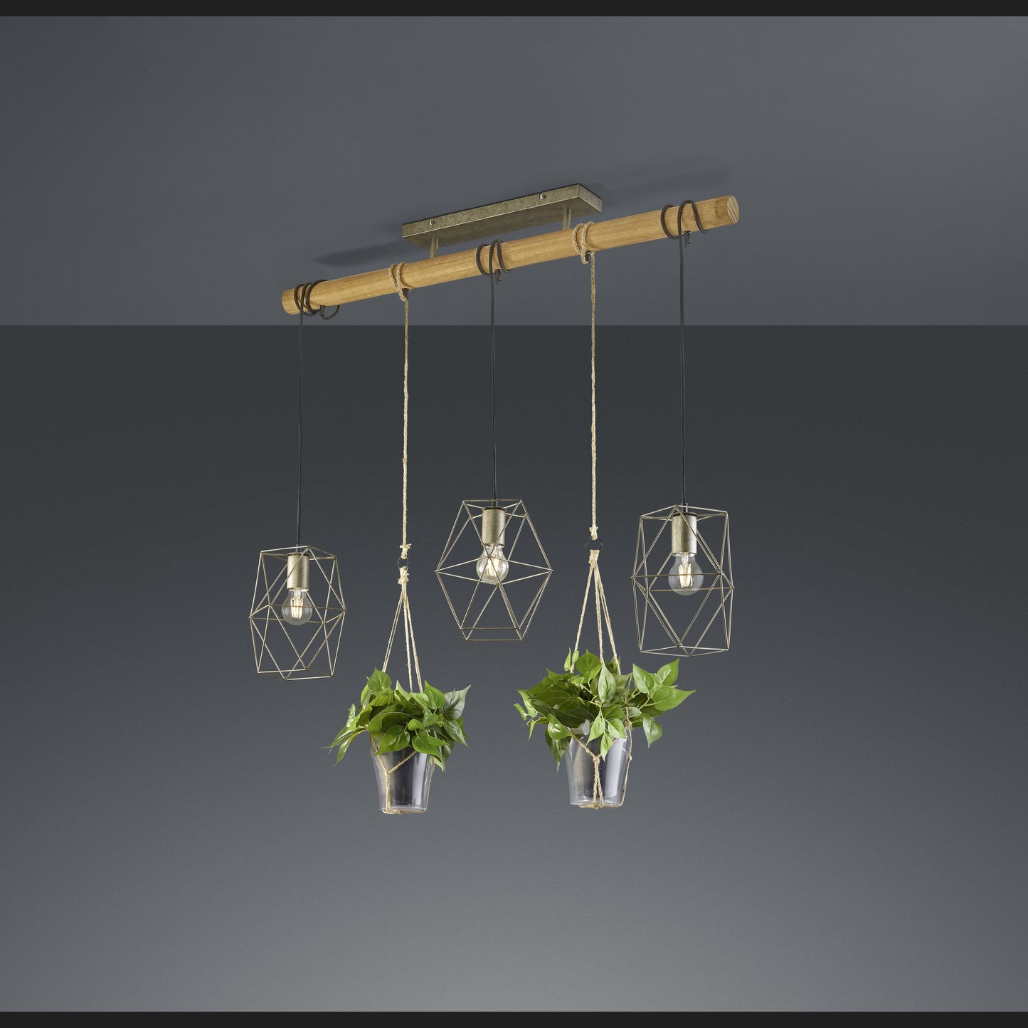 Plant - Pendant - Natural Finish - Trio
