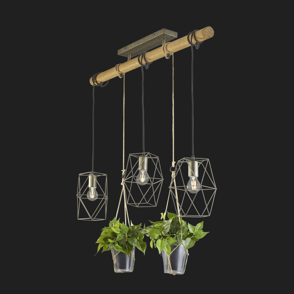 Plant - Pendant - Natural Finish - Trio