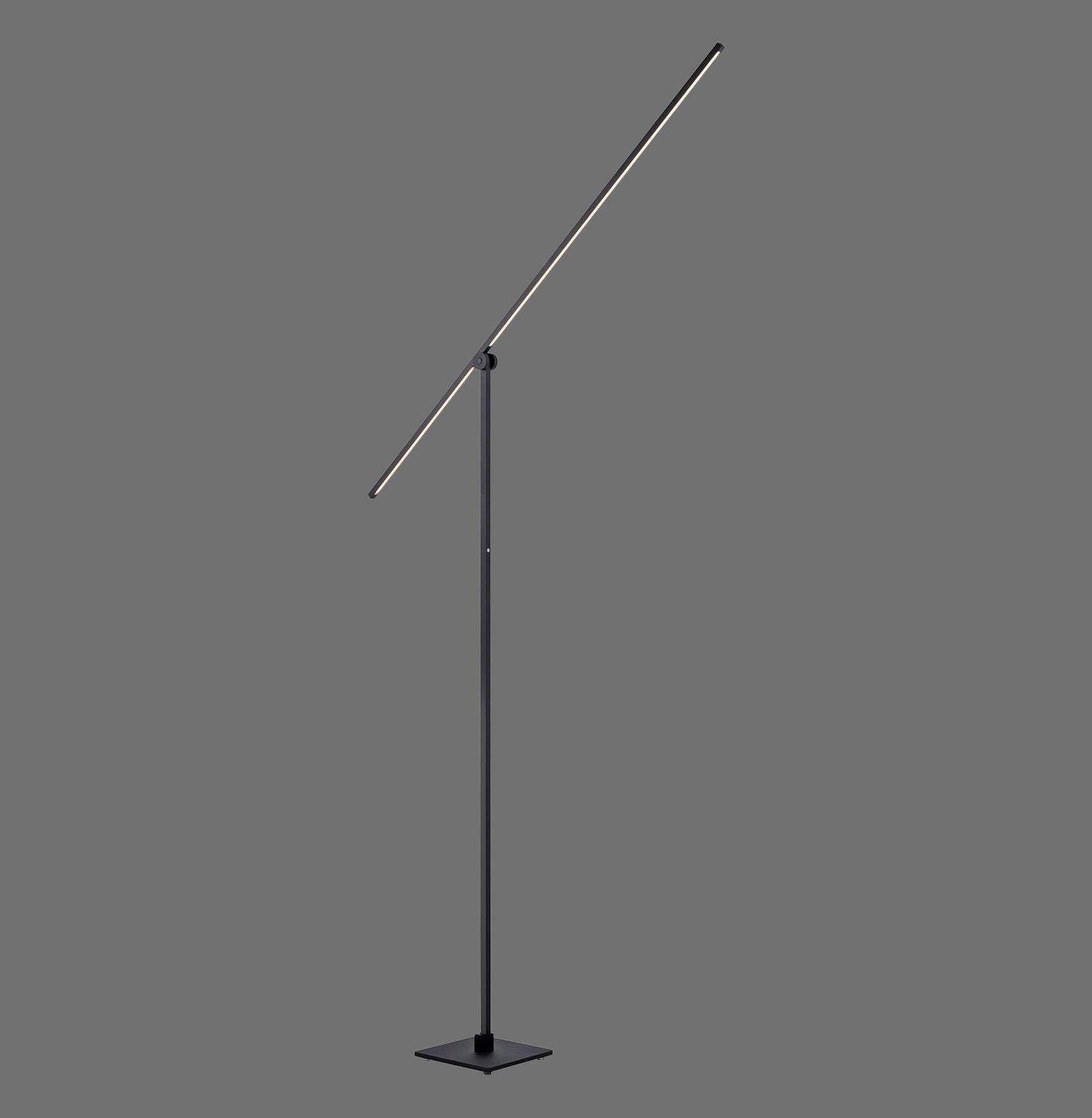 Pure Grafo - Floor Lamp - Black - By Paul Neuhaus - (407-18)