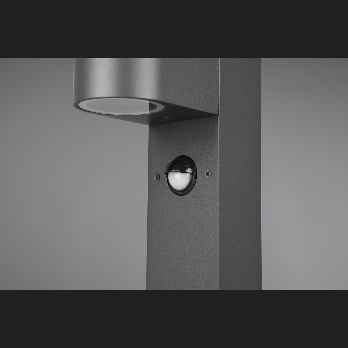 ROYA Pole (C) - Anthracite