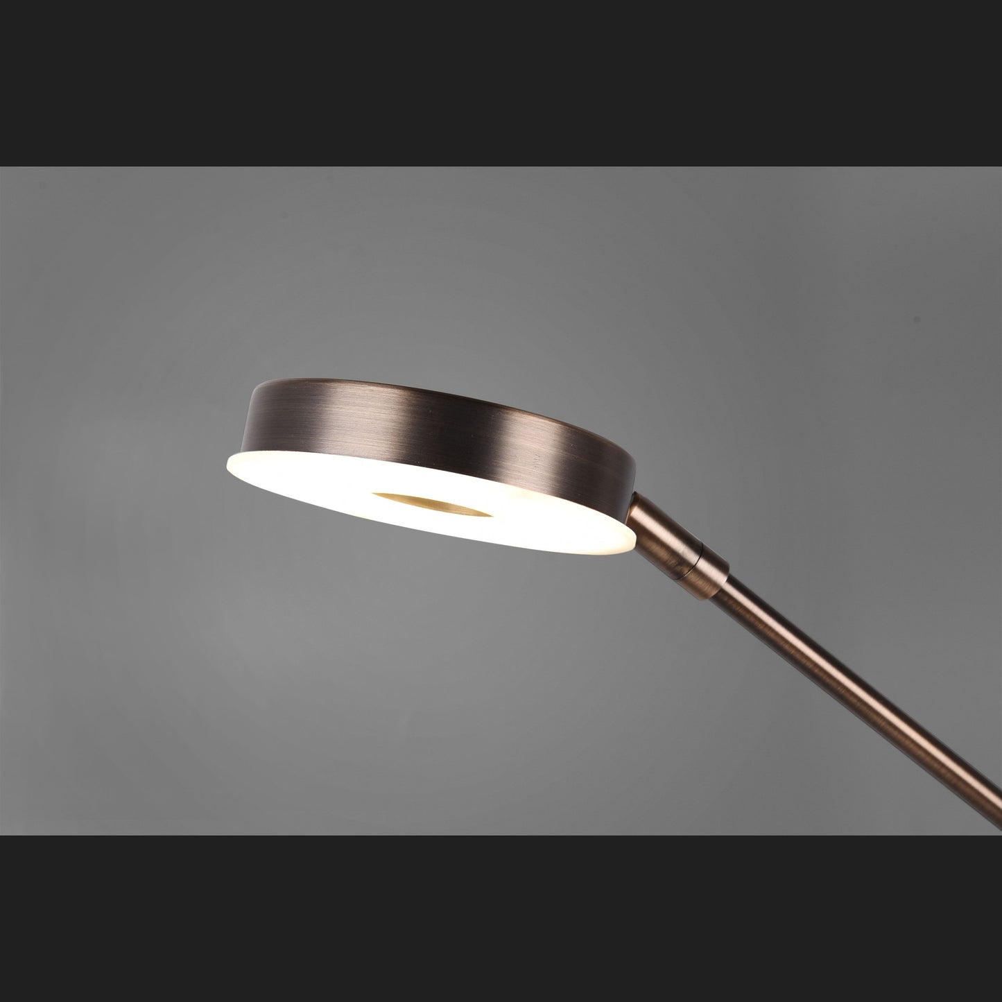 Barrie - Floor lamp - Old Brass - Trio