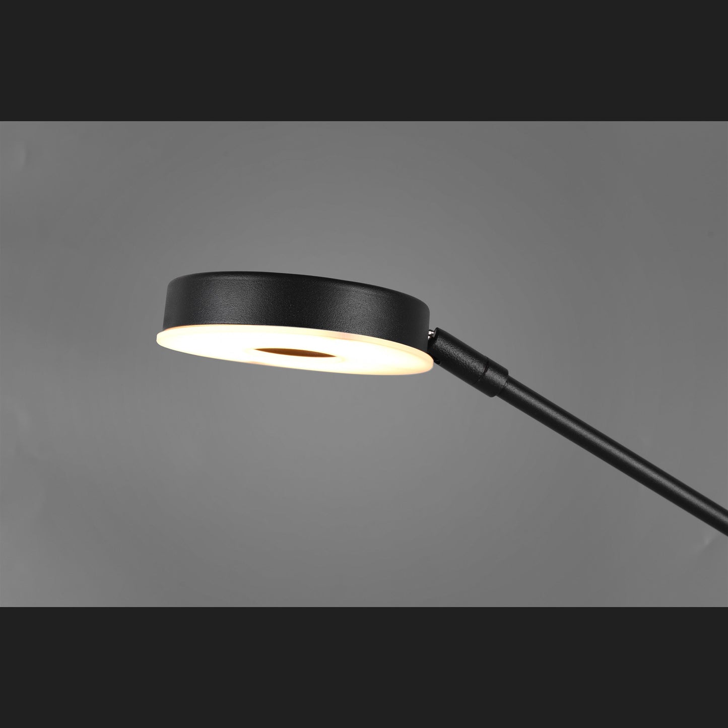 Barrie - Floor lamp - Black Matt - Trio