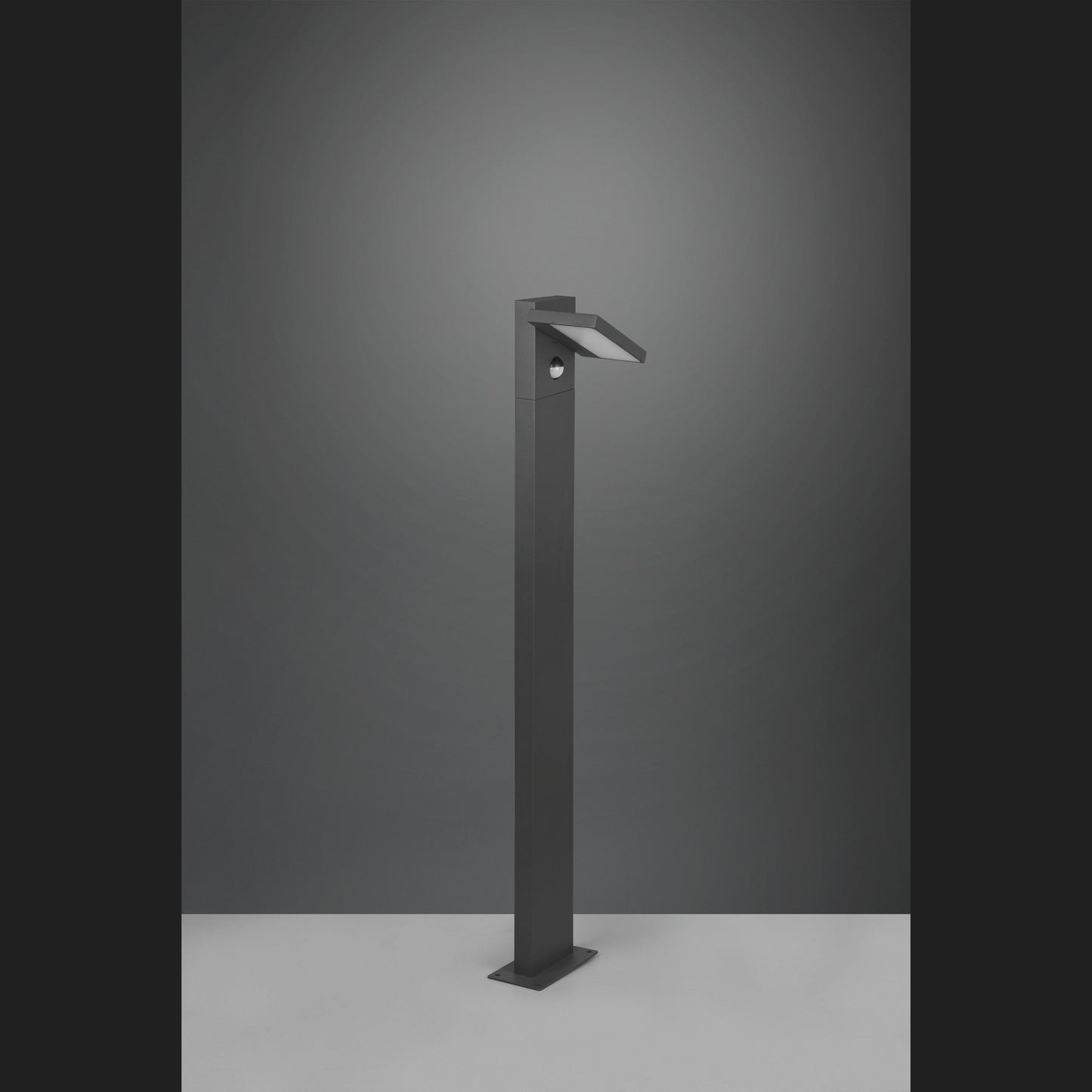 HORTON Pole (D) - Anthracite
