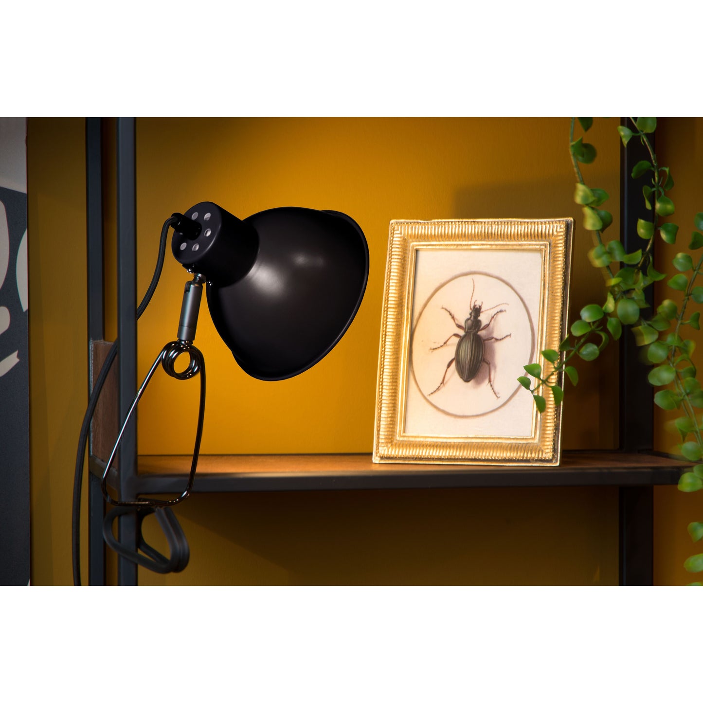 Lucide MOYS - Clamp lamp - 1xE27 - Black