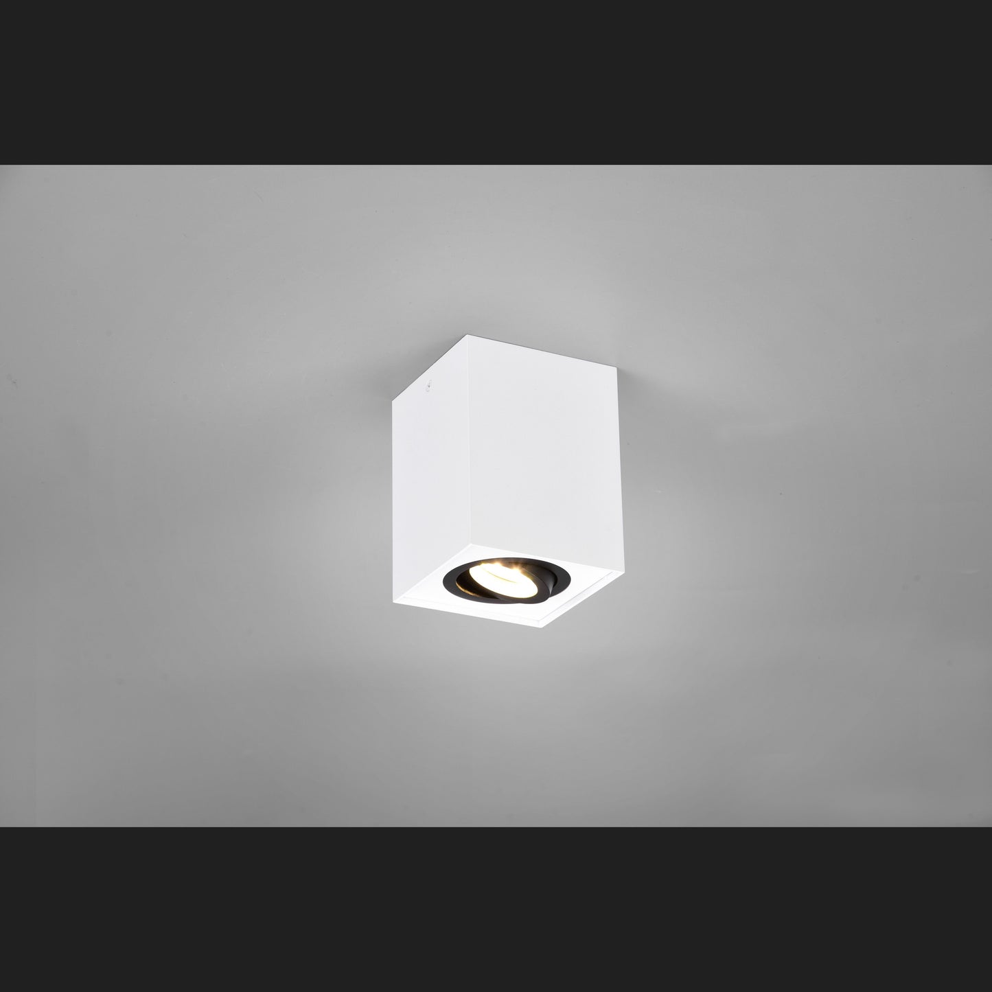 Biscuit - Ceiling lamp - Black - White - Trio