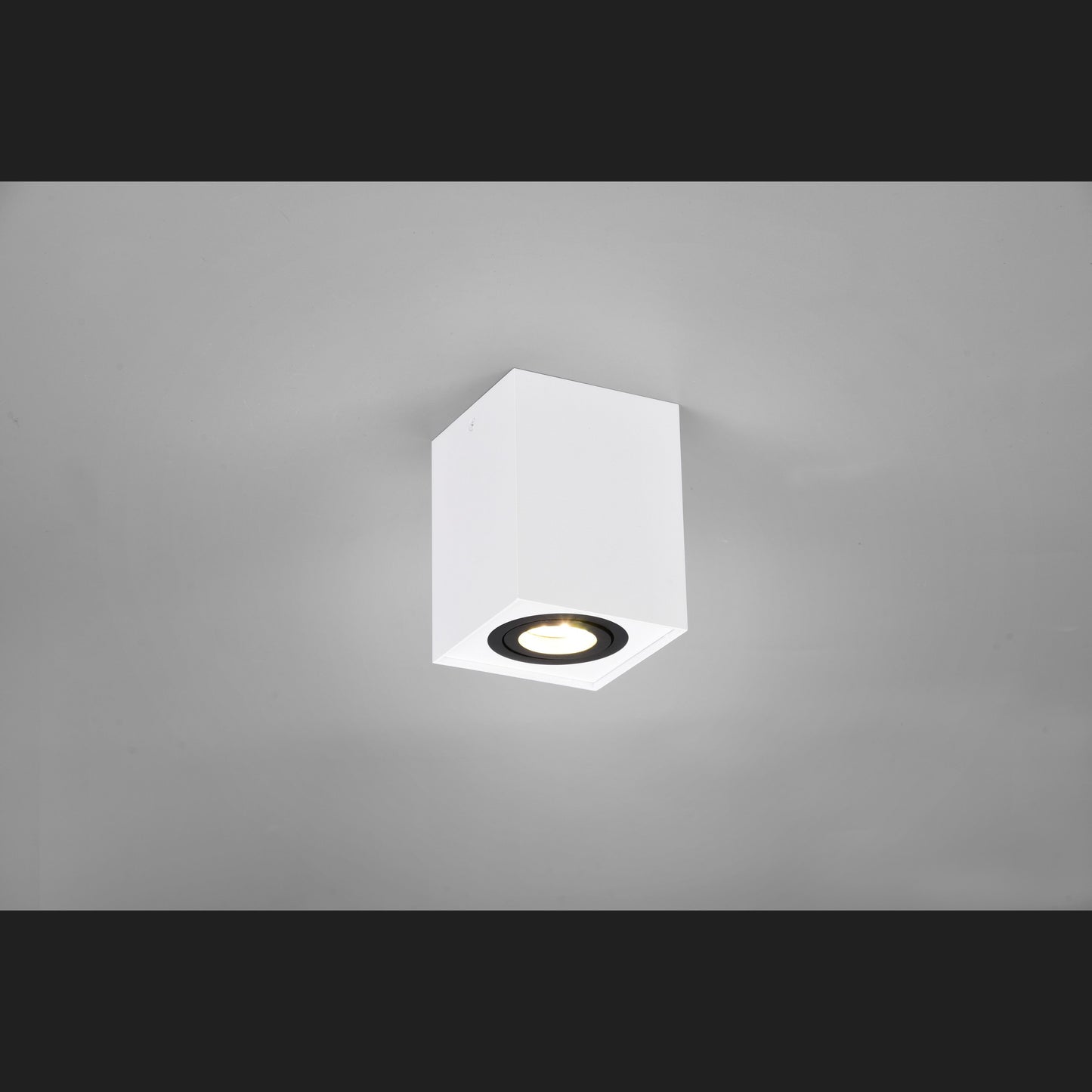 Biscuit - Ceiling lamp - Black - White - Trio