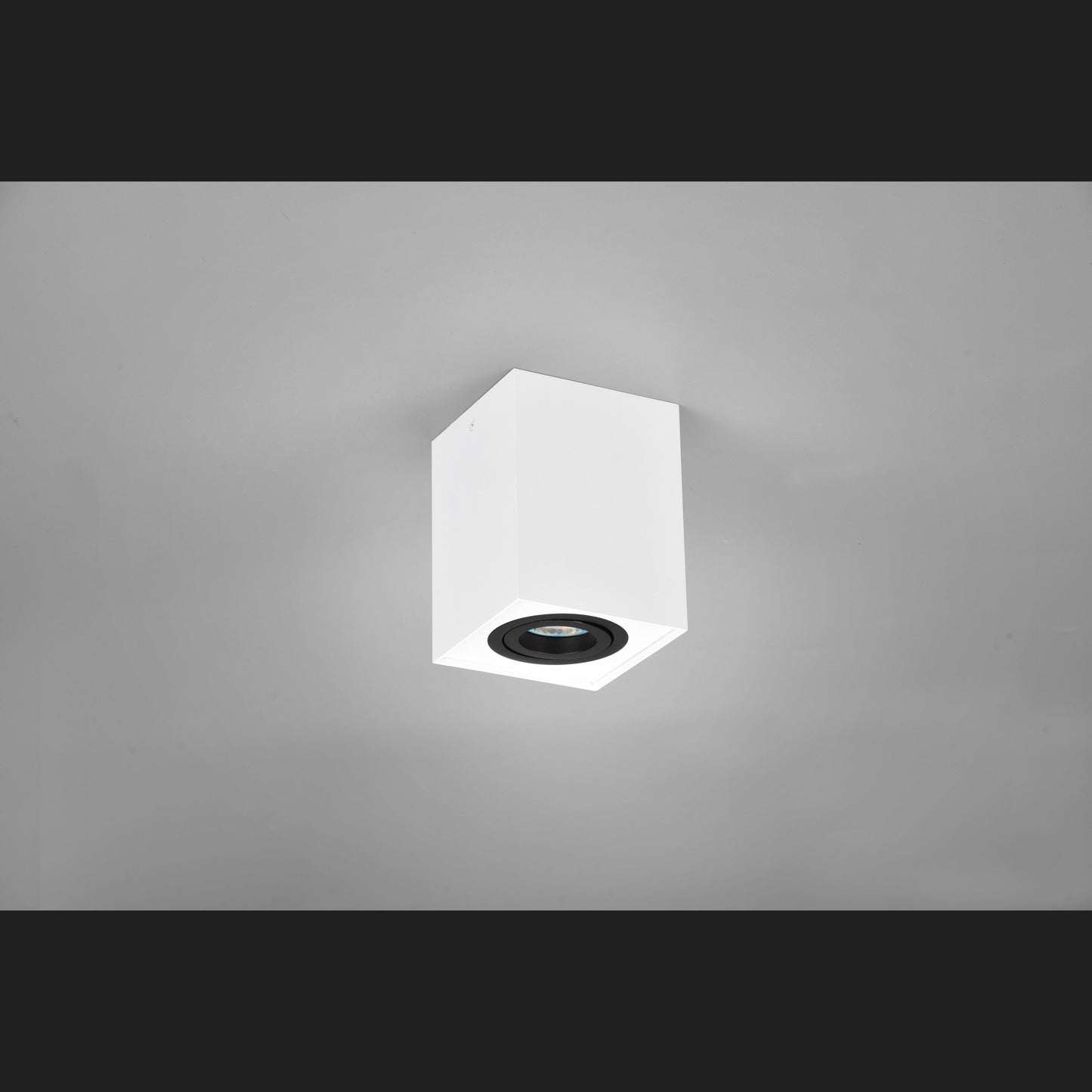 Biscuit - Ceiling lamp - Black - White - Trio