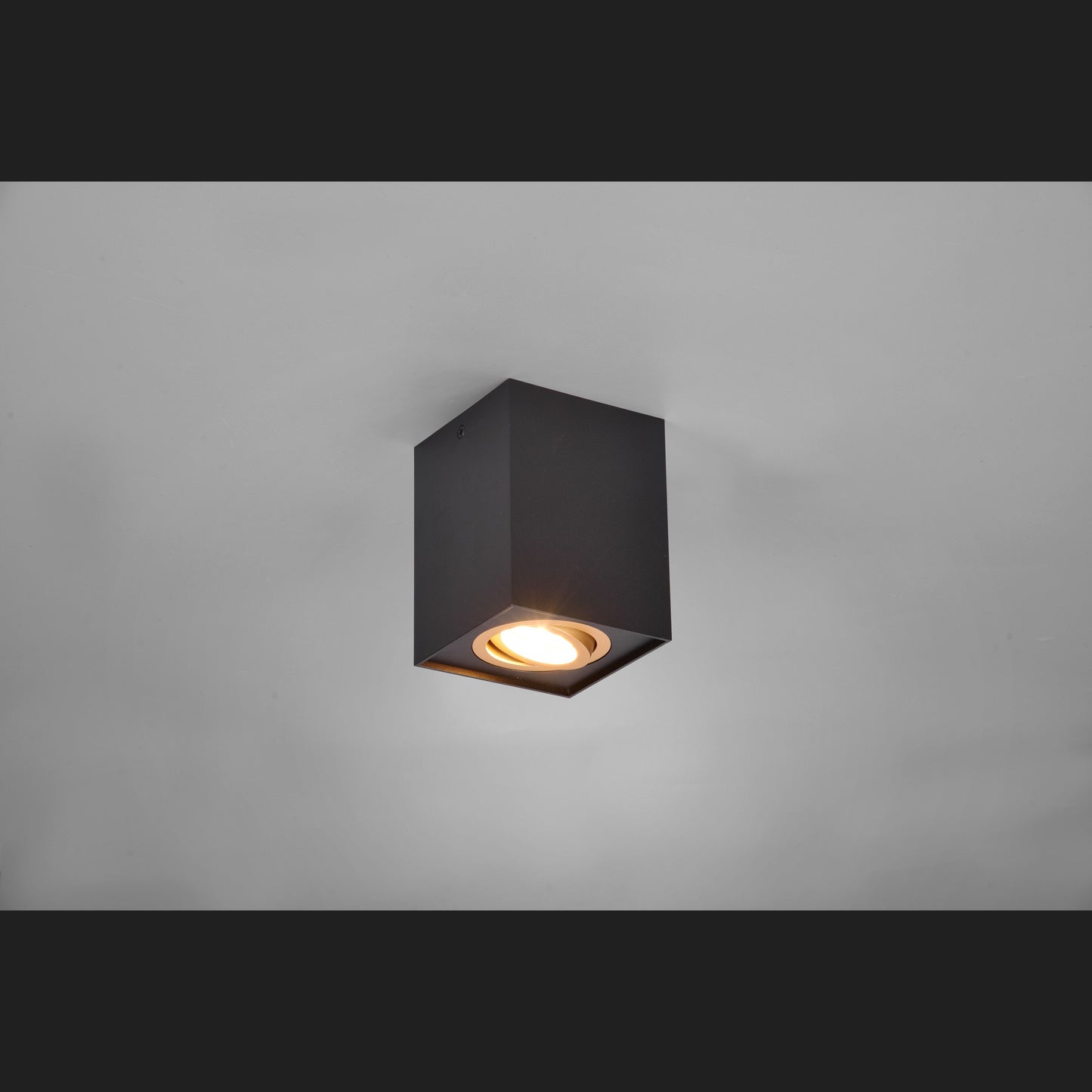 Biscuit - Ceiling lamp - Black - Gold - Trio