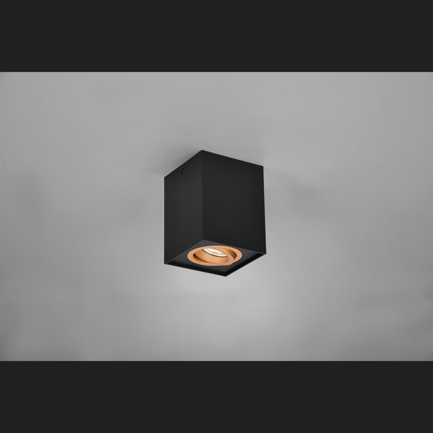 Biscuit - Ceiling lamp - Black - Gold - Trio