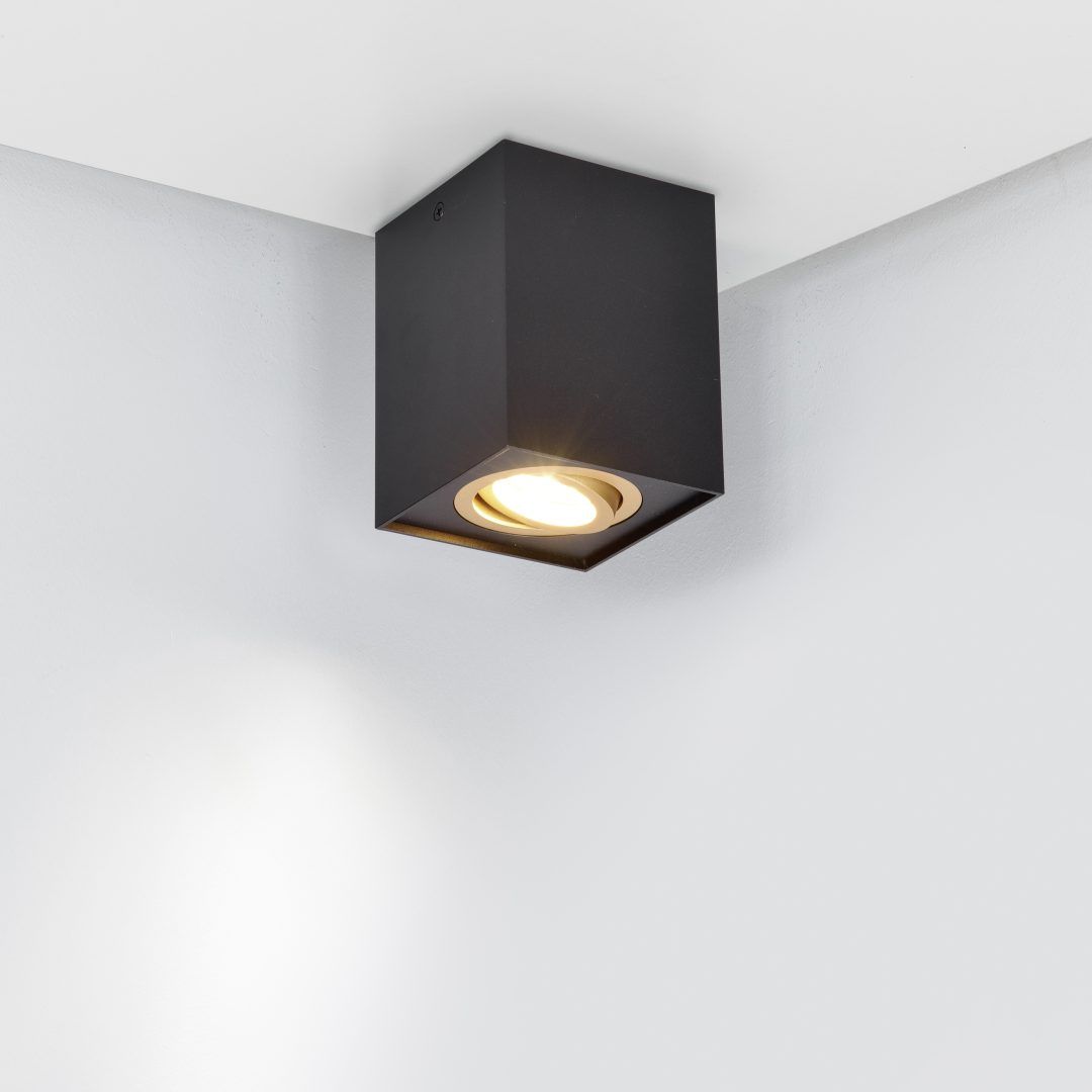 Biscuit - Ceiling lamp - Black - Gold - Trio