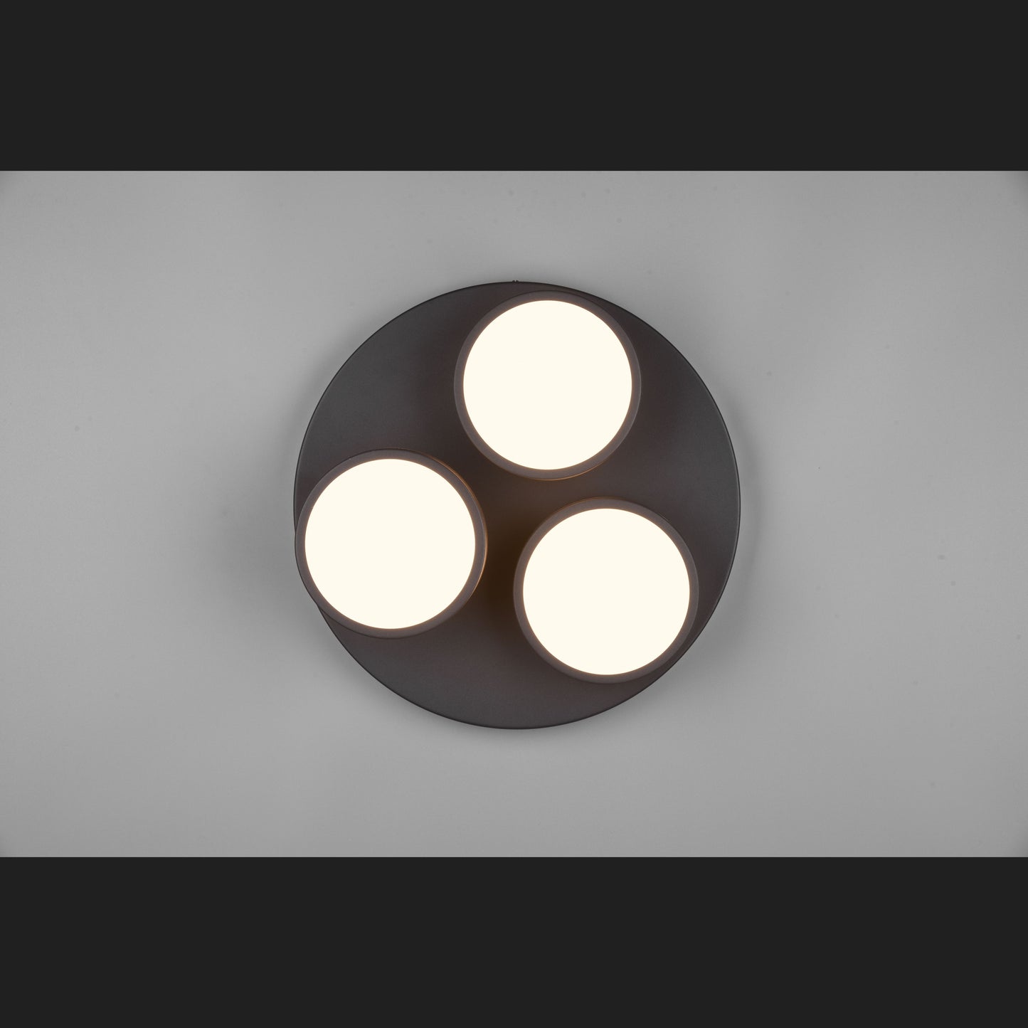 Franklin - Ceiling lamp - Anthracite - Trio