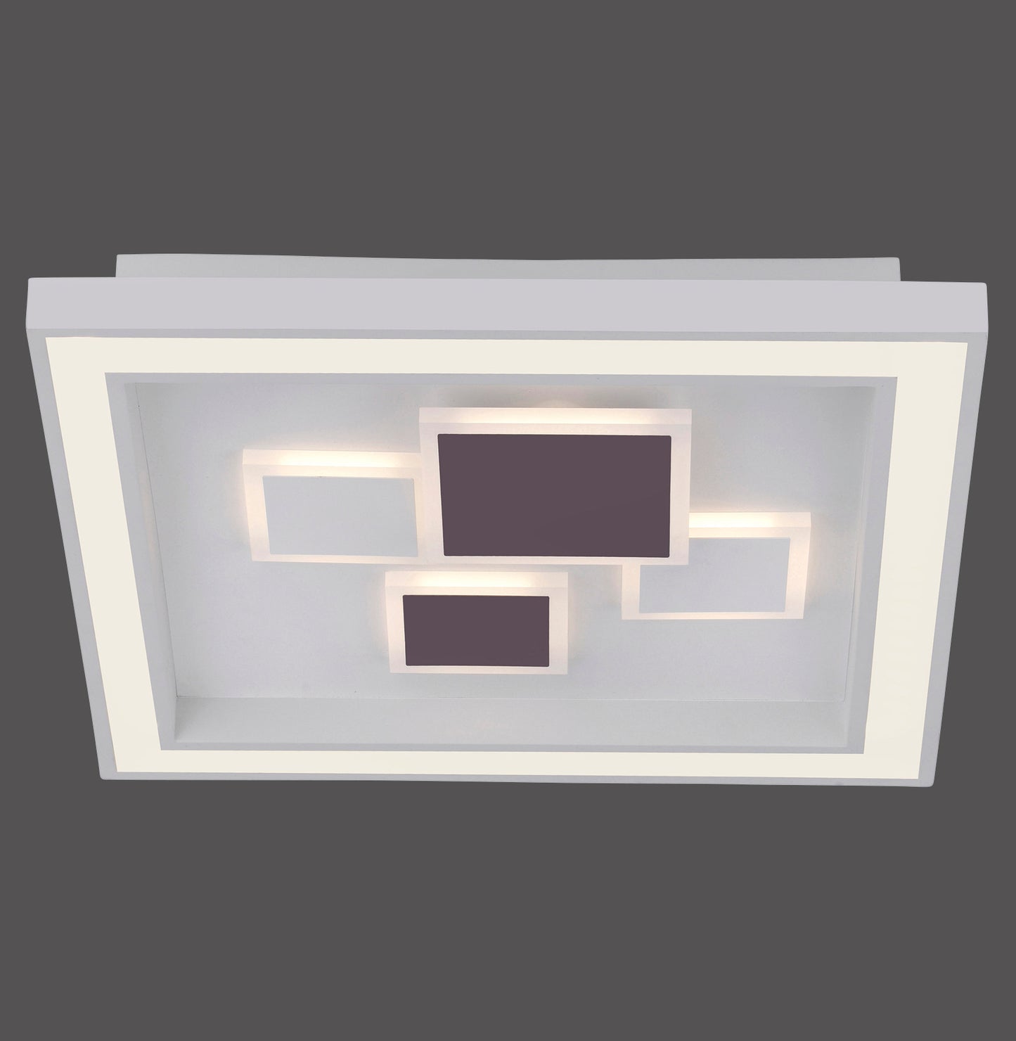 Eliza - Ceiling Light - White - By Paul Neuhaus - (6283-16)