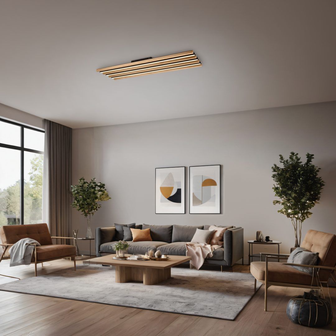 Fontana - Ceiling Lamp - Black Matt - Trio - 648911332