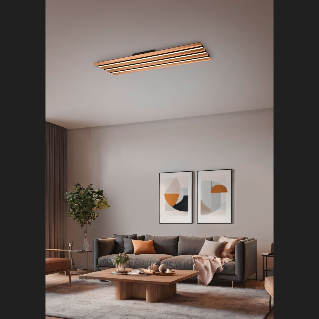 Fontana - Ceiling Lamp - Black Matt - Trio - 648911332