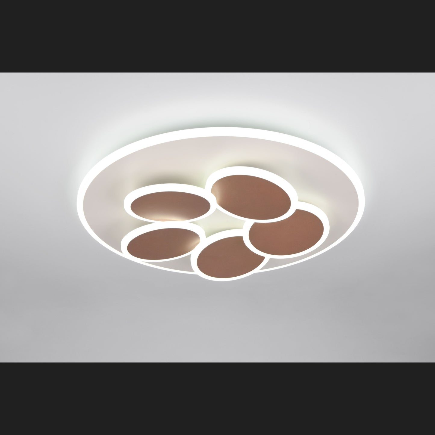 Mandala - Ceiling Lamp - Grey - Trio - 653210676