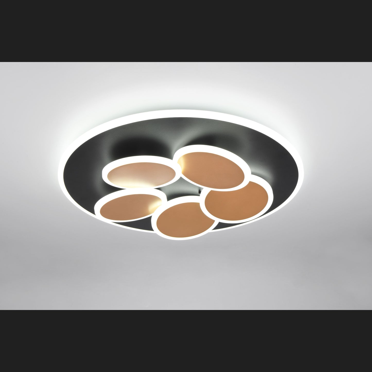 Mandala - Ceiling Lamp - Black Gold - Trio - 653210680