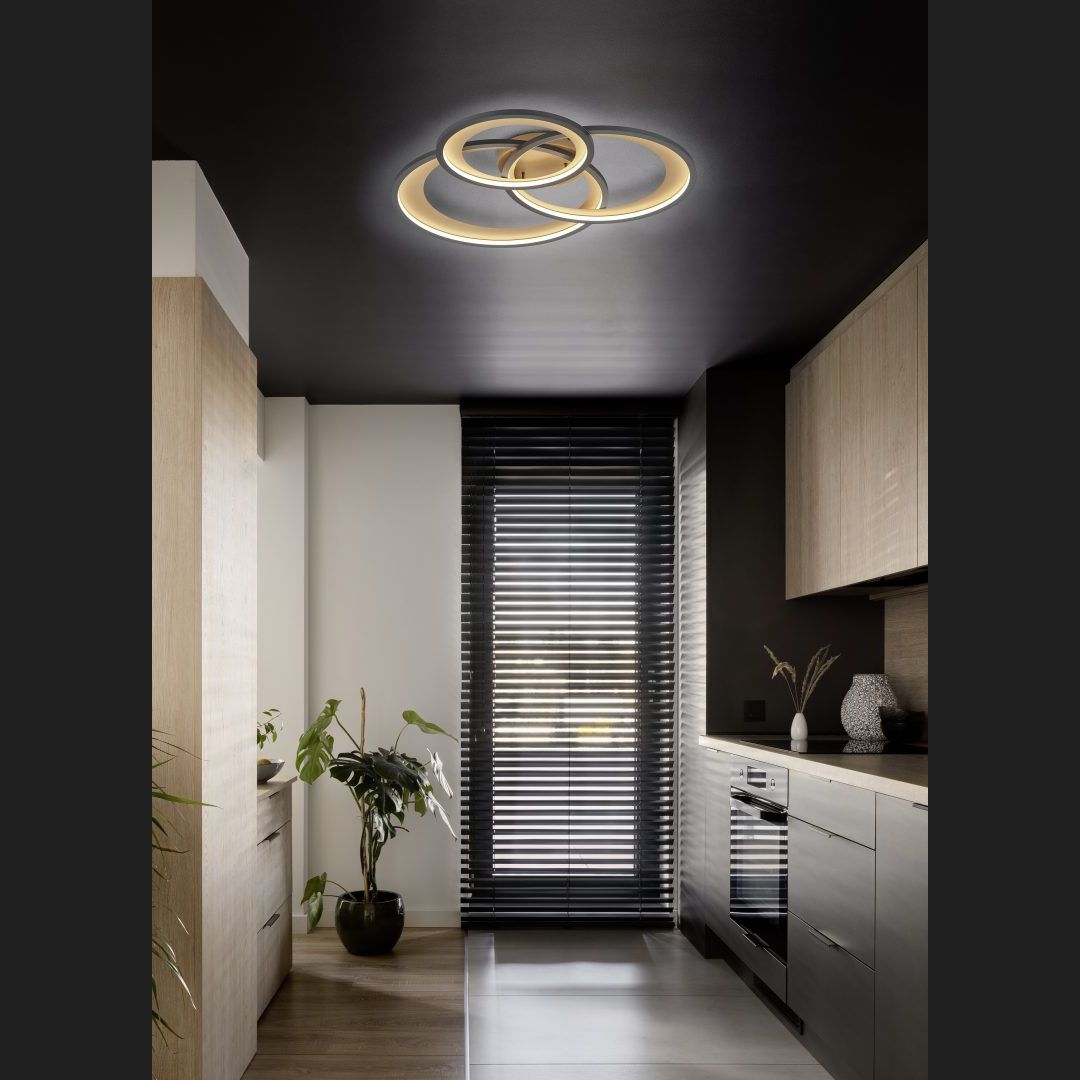 Granada - Ceiling lamp - Black Matt - Trio