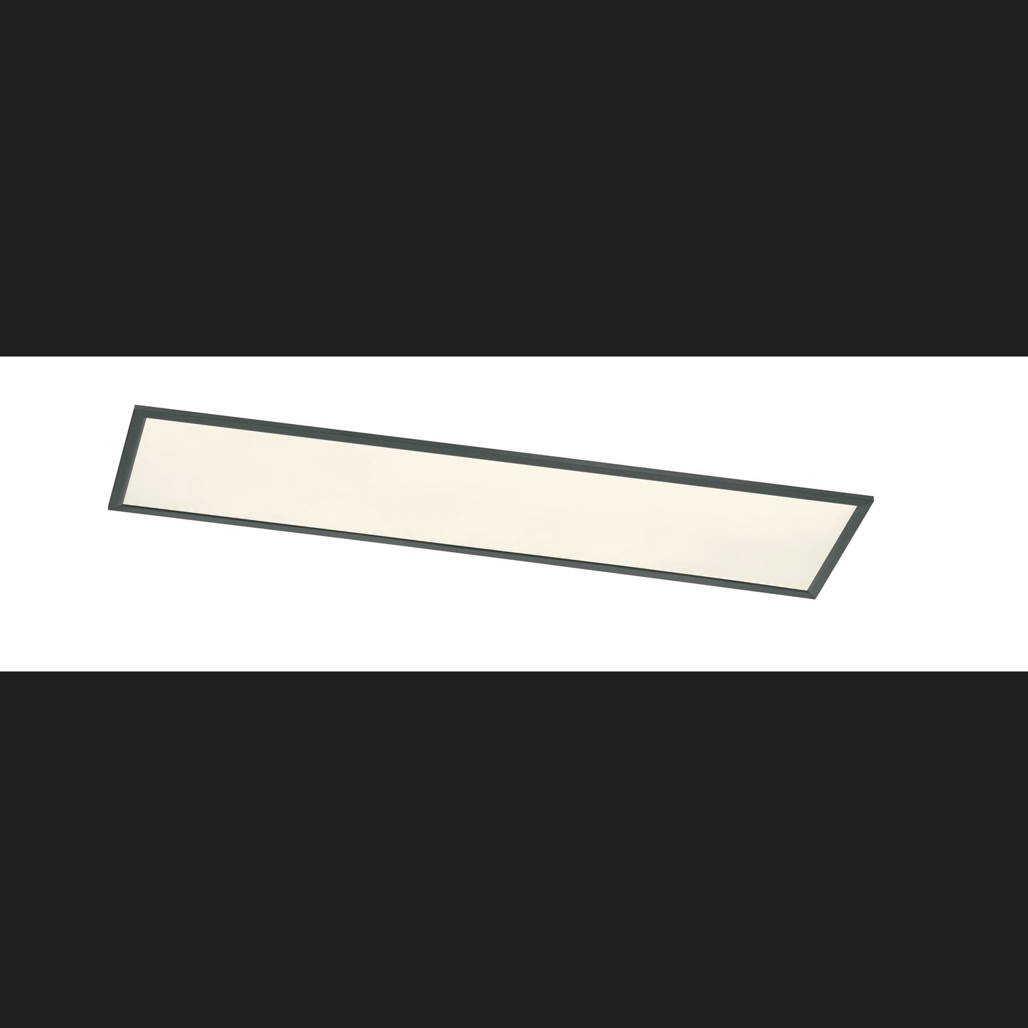 Phoenix - Ceiling lamp - Black Matt - Trio