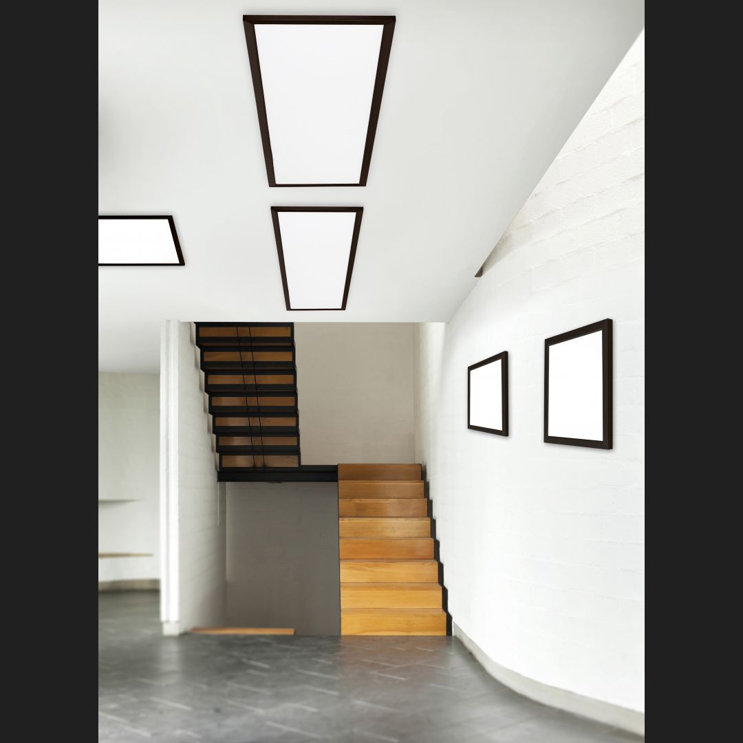 Phoenix - Ceiling lamp - Black Matt - Trio