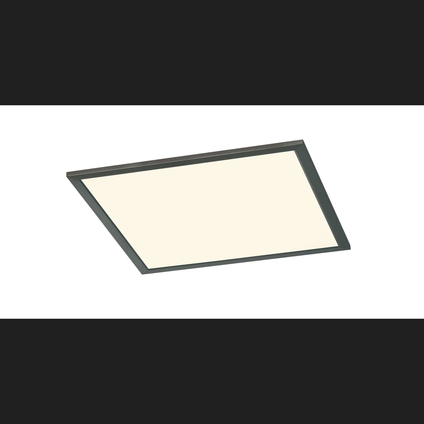 Phoenix - Ceiling lamp - Black Matt - Trio