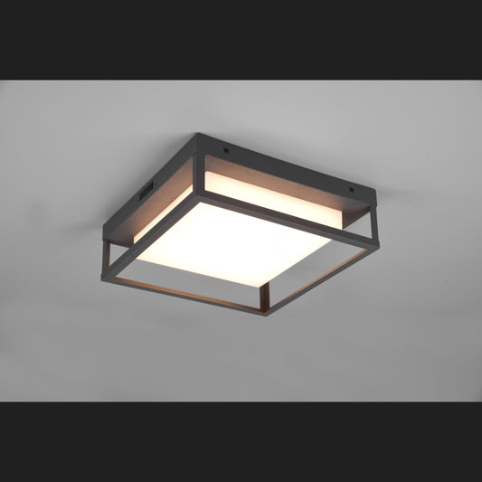 WITHAM Ceiling lamp - Anthracite