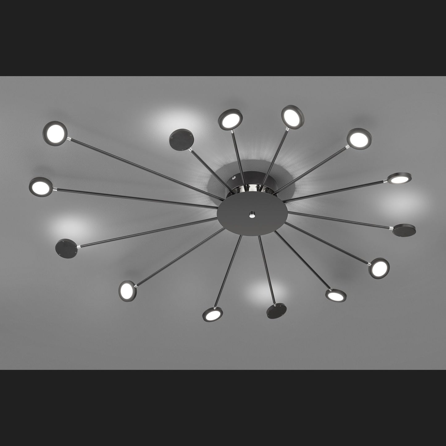 Peacock - Ceiling lamp - Black Matt - Trio