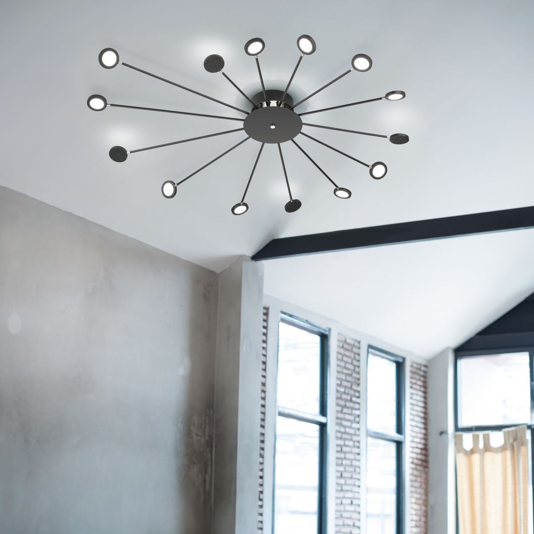 Peacock - Ceiling lamp - Black Matt - Trio