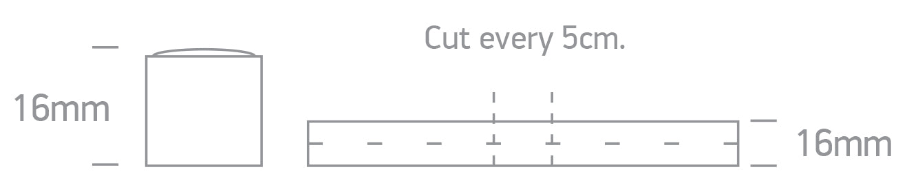Neon Flex Lightlines