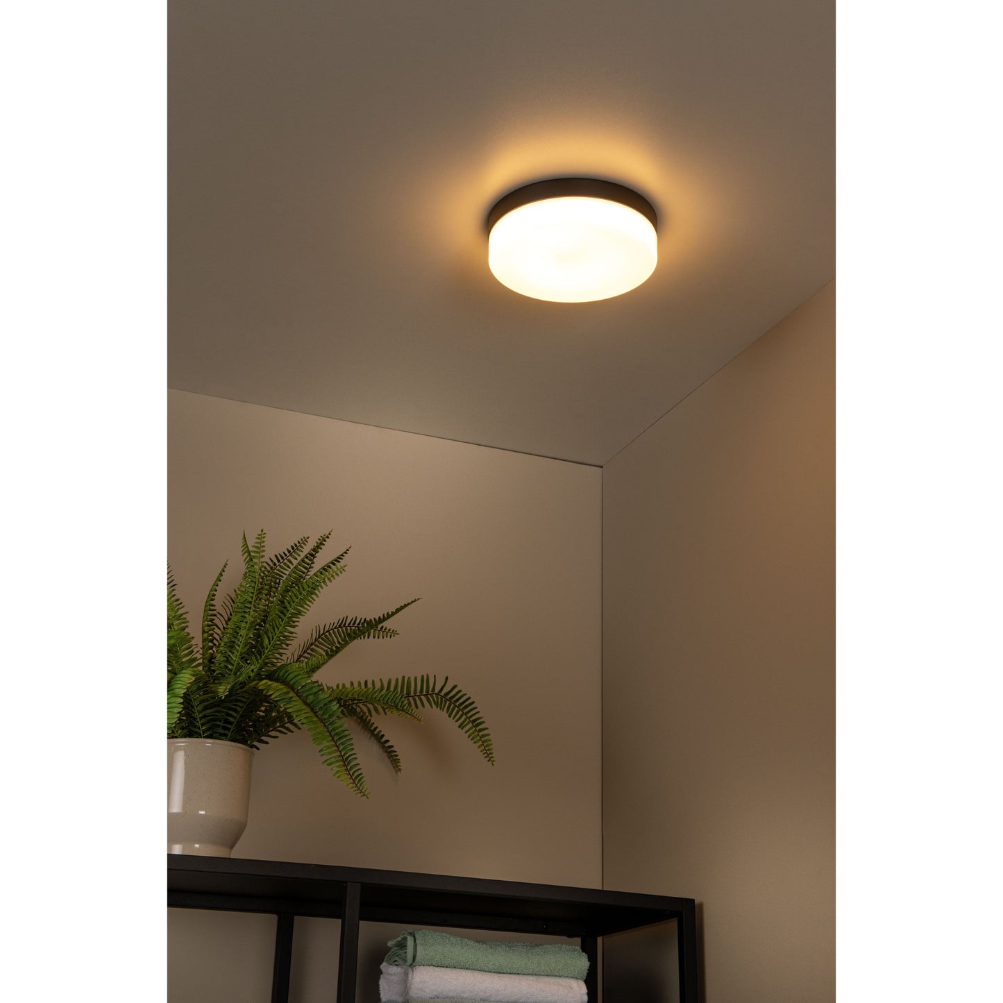 Lucide BISKIT - Flush ceiling light Bathroom - Ø 28 cm - LED - 1x18W 2700K - IP44 - Motion & Day/Night Sensor - Black