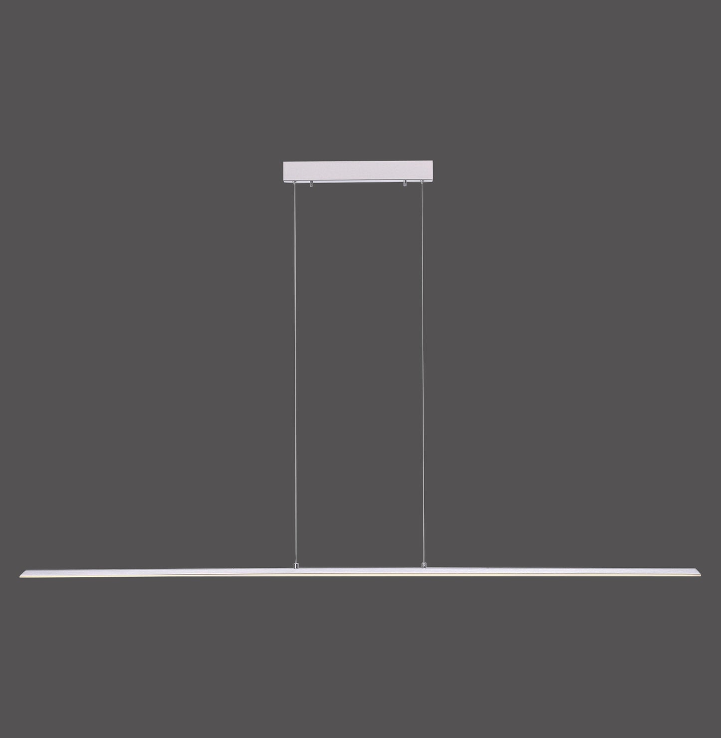 Pure Lite - Pendant Light - Steel - By Paul Neuhaus - (8377-55)