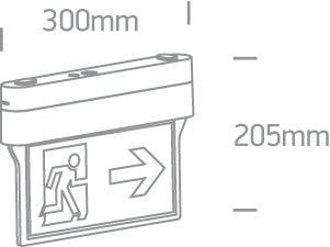 Emergency LED Ceiling Signs