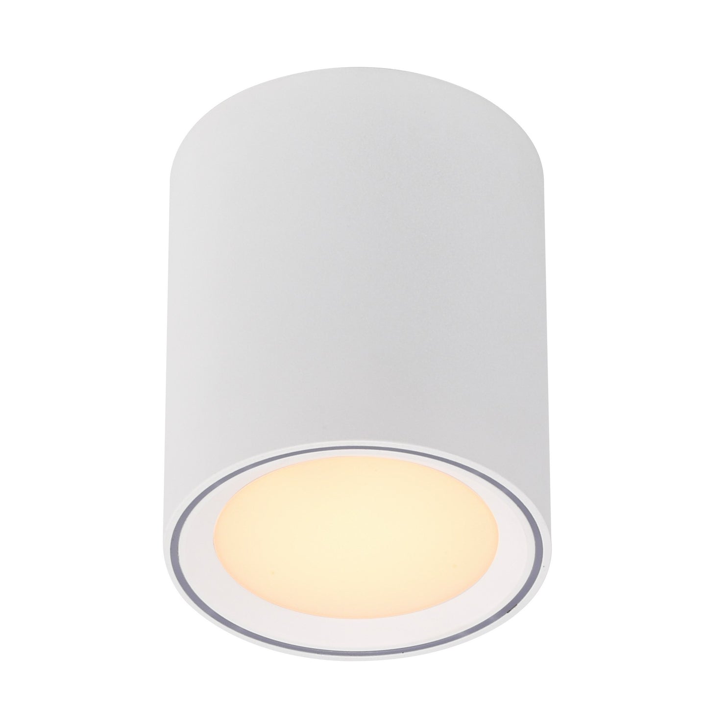 Fallon Long - Surface downlight