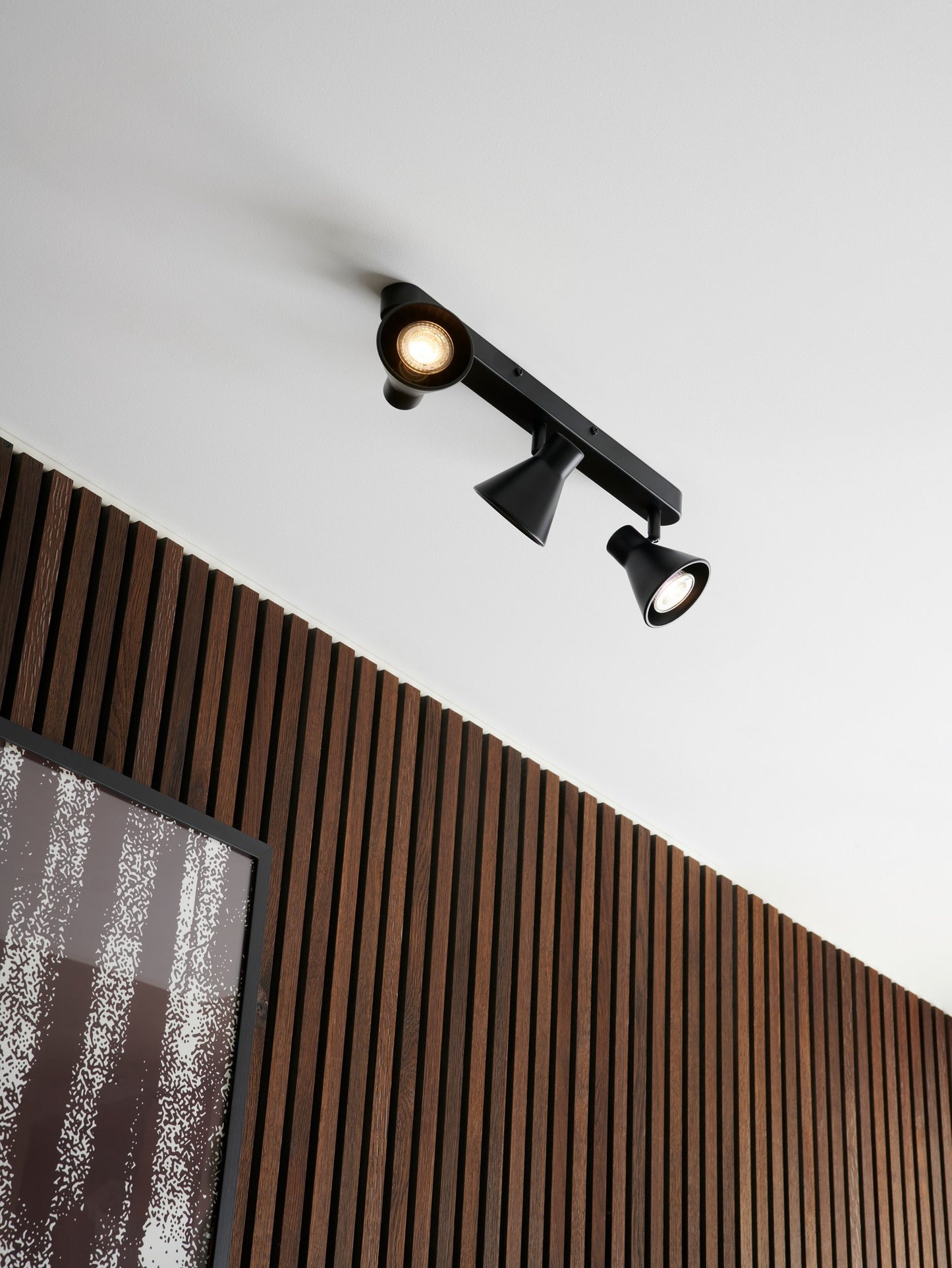 Eik 3 - Spot Light