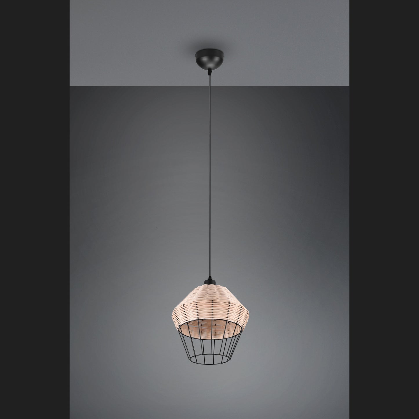 Borka - Pendant - Natural Finish - Reality