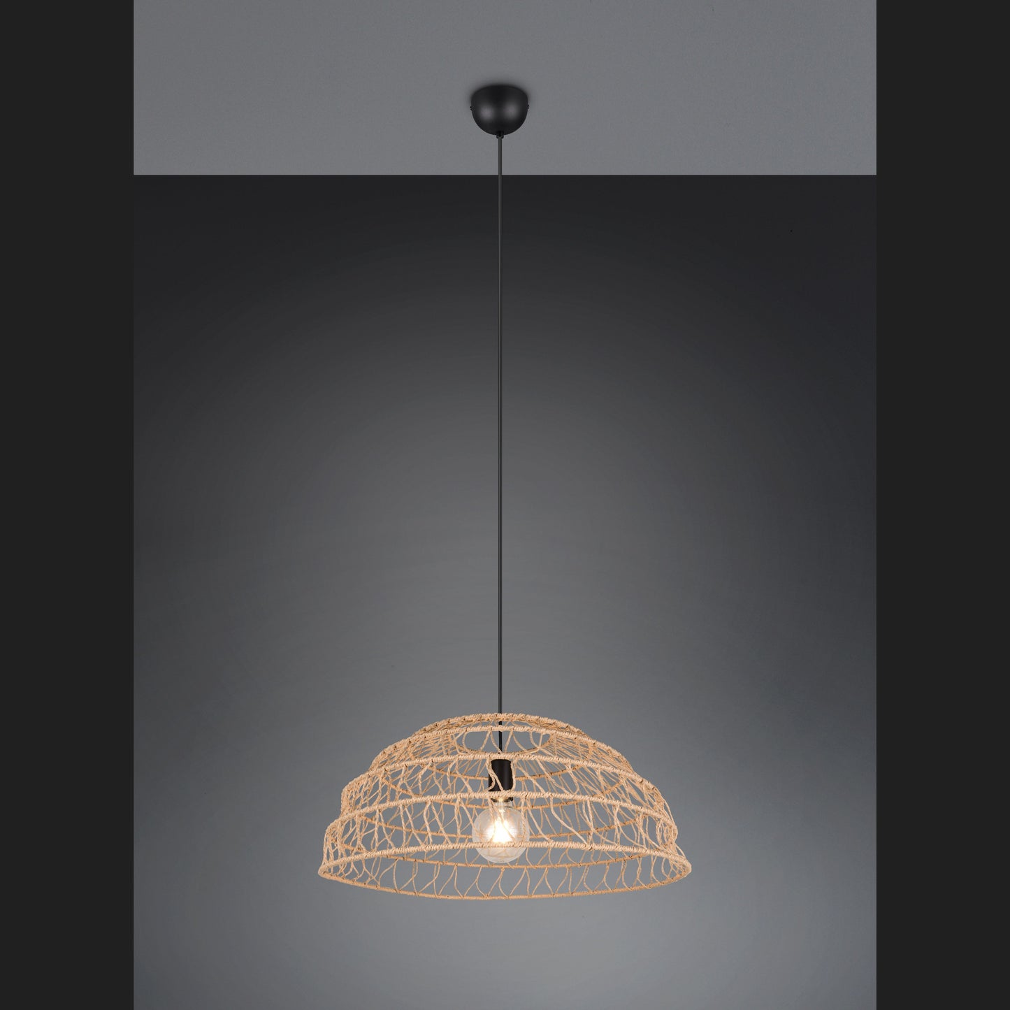 Paulette - Pendant - Brown - Reality - R36141026