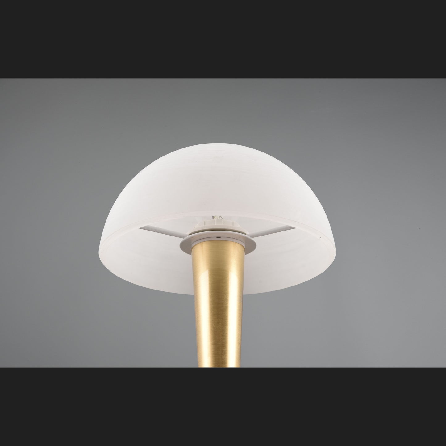 Canaria - Table lamp - White Brushed - Reality